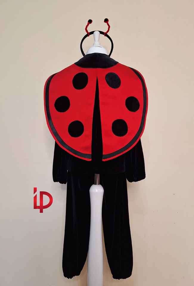 Costum de Buburuză - fete și băieți - 4-6 ani - Ghirie grup/individual